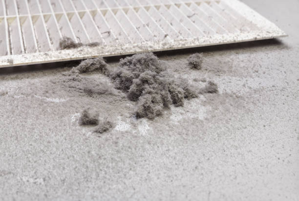 Best Air Vent Cleaning Services  in Cleveland, OH
