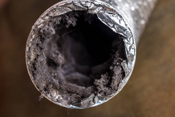 Best Home Air Vent Cleaning  in Cleveland, OH