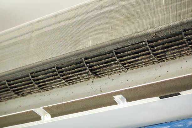 Best Local Air Duct Cleaning Services  in Cleveland, OH